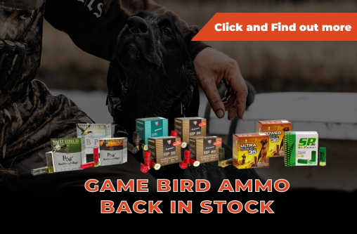 Game Bird Ammo Back In Stock